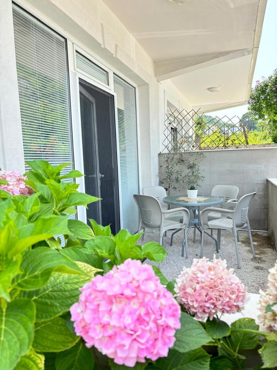 Apartments Boka Pearl Kotor Bagian luar foto